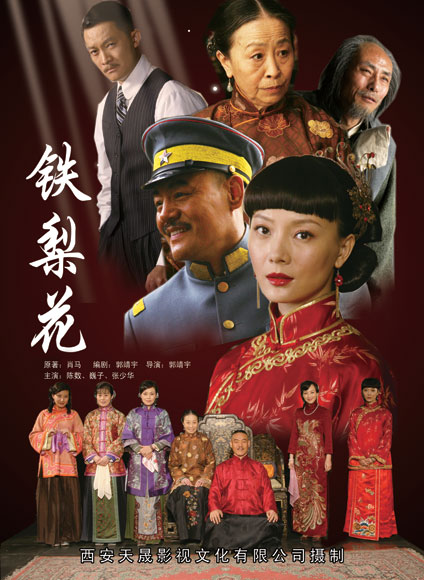 铁梨花 (2010)-123云盘·臻藏阁