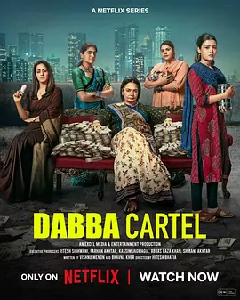 毒枭煮妇 Dabba Cartel (2025)-123云盘·臻藏阁