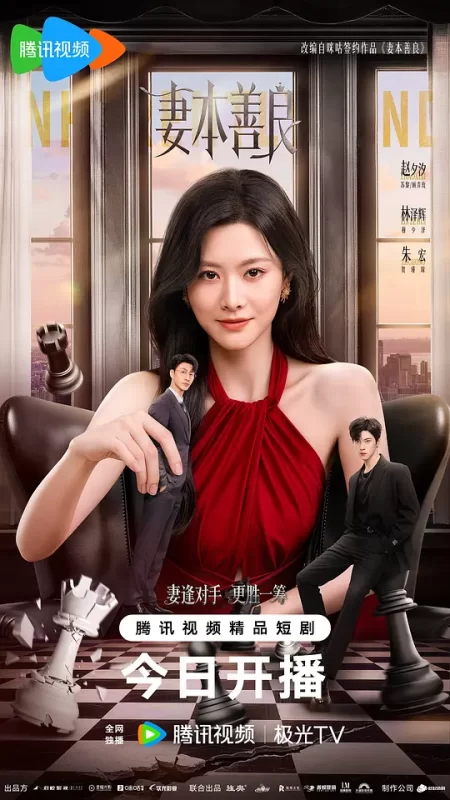 妻本善良（2026）-123云盘·臻藏阁