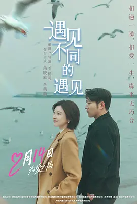 遇见不同的遇见（2026）-123云盘·臻藏阁