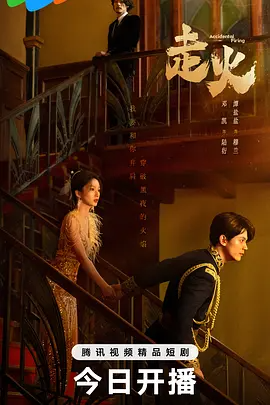 走火 (2025)-123云盘·臻藏阁