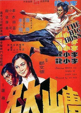 唐山大兄4K REMUX（1971）-123云盘·臻藏阁